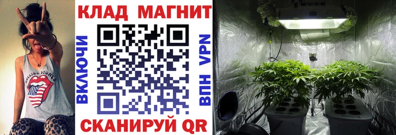 Как найти закладки Зеленоградск СОЛЬ  Кокаин  ГАШИШ  Галлюциногенные грибы  Марихуана  Мефедрон 