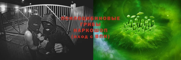 меф Заречный