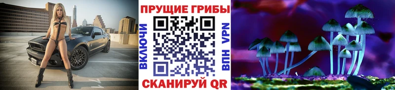 Псилоцибиновые грибы Psilocybe  blacksprut зеркало  Зеленоградск 